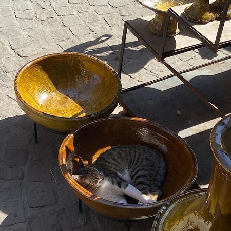 Villa Louisa Piscine Privee Sans Vis A Vis Dyar Shemsi Taroudant Exteriör bild