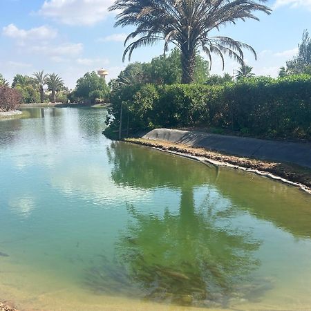 Villa Louisa Piscine Privee Sans Vis A Vis Dyar Shemsi Taroudant Exteriör bild