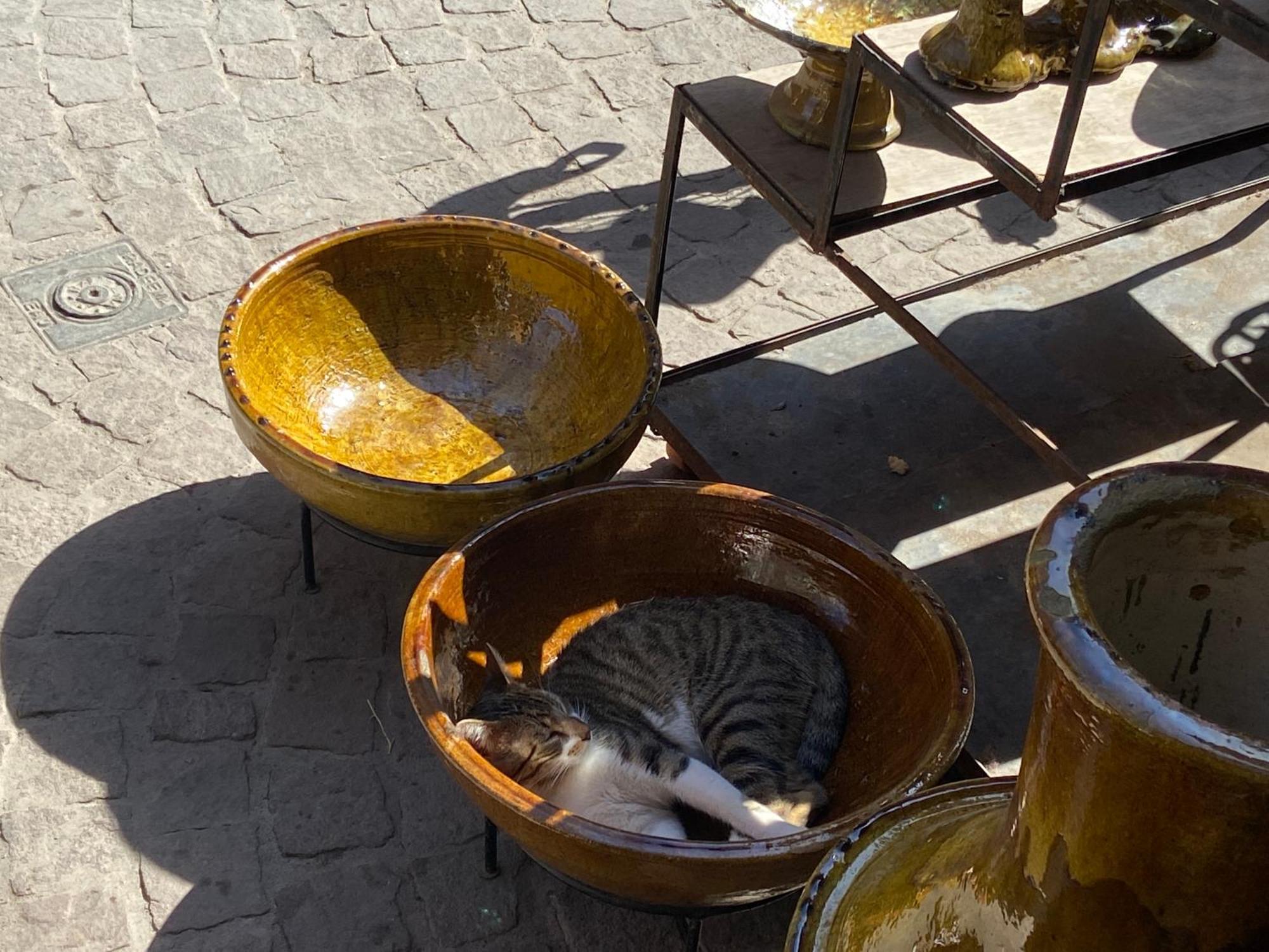 Villa Louisa Piscine Privee Sans Vis A Vis Dyar Shemsi Taroudant Exteriör bild