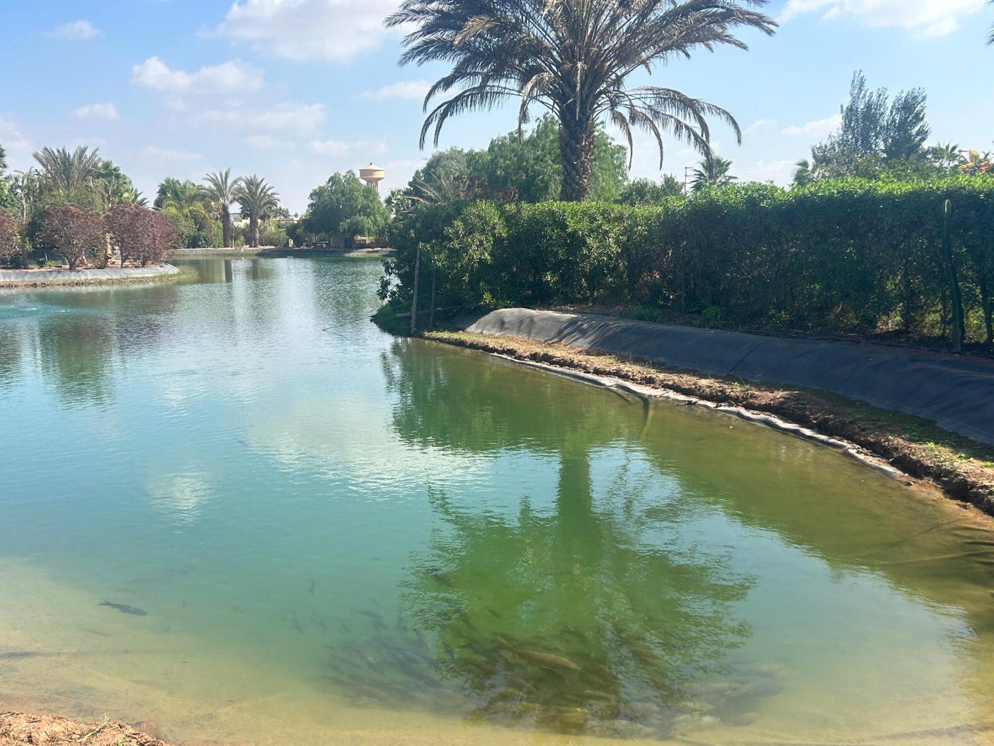 Villa Louisa Piscine Privee Sans Vis A Vis Dyar Shemsi Taroudant Exteriör bild